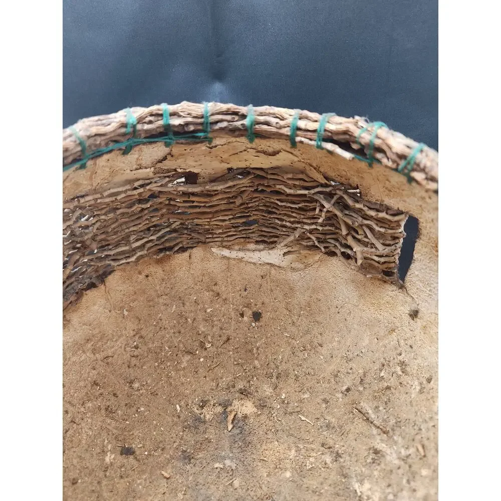 Natural Gourd Basket weaved twigs and hand painted